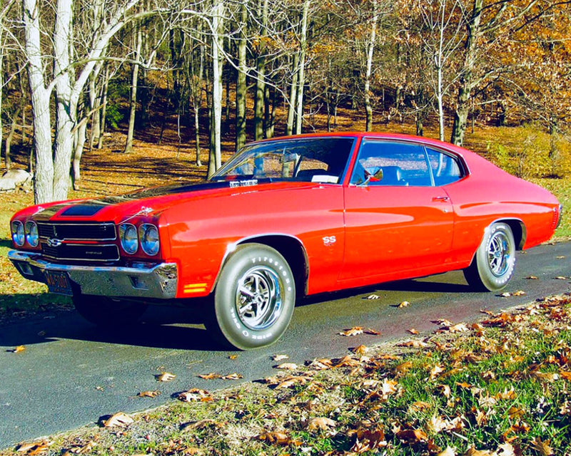 Chevelle, Malibu, Monte Carlo, & El Camino Products